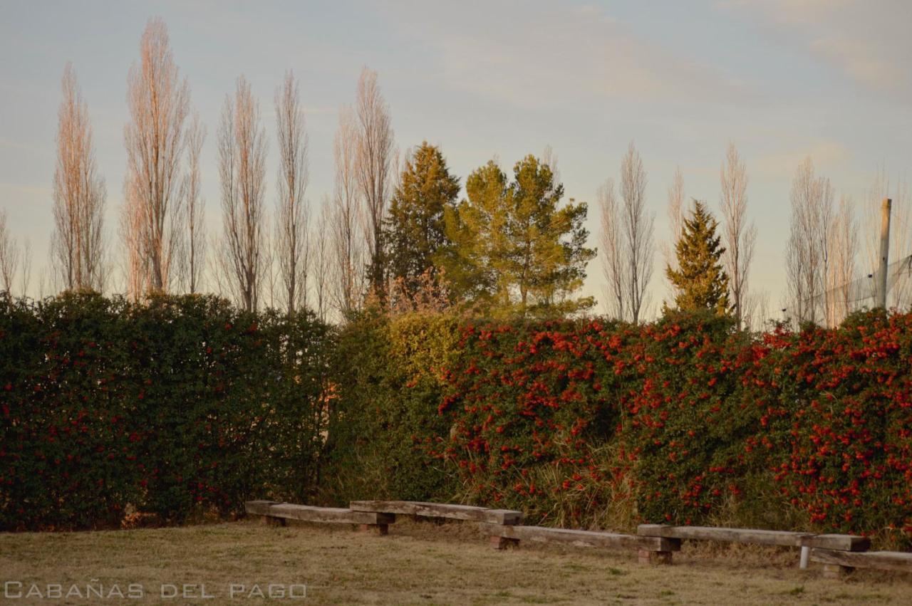 Holiday home Del Pago San Rafael (Mendoza)